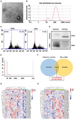 Exosomal hsa-miR199a-3p Promotes Proliferation and Migration in Neuroblastoma
